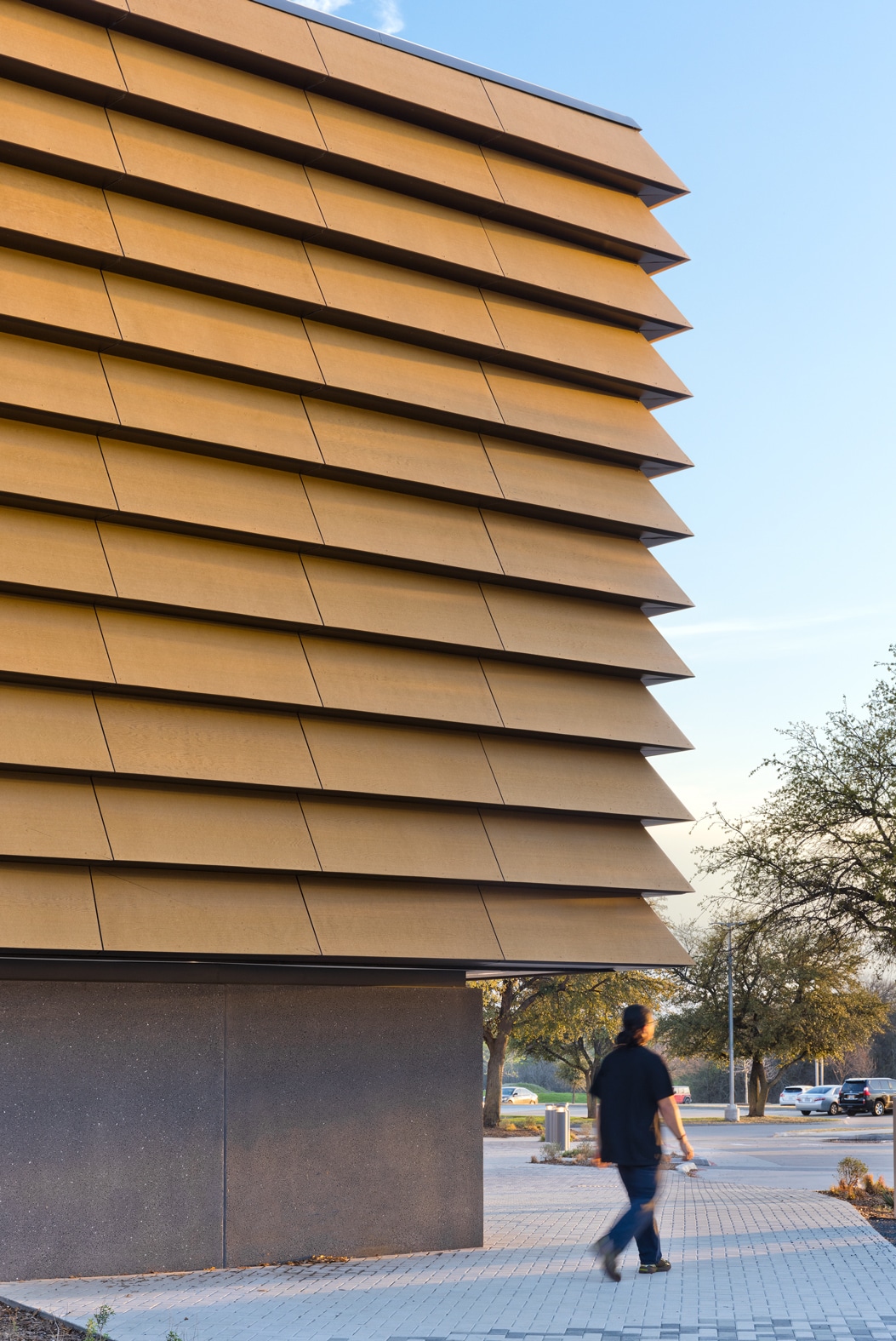 Frisco Public Library 09