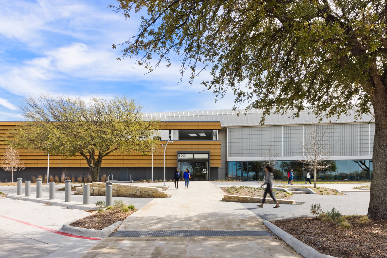 Frisco Public Library 05