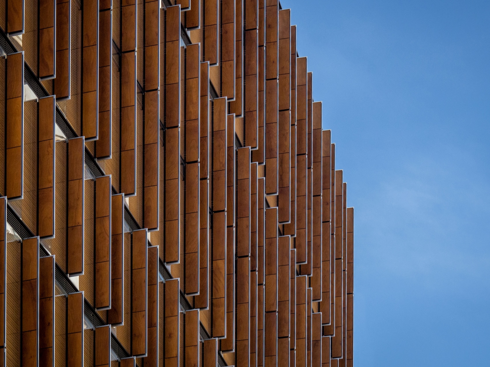 Tower of Wood: The EY Centre 05