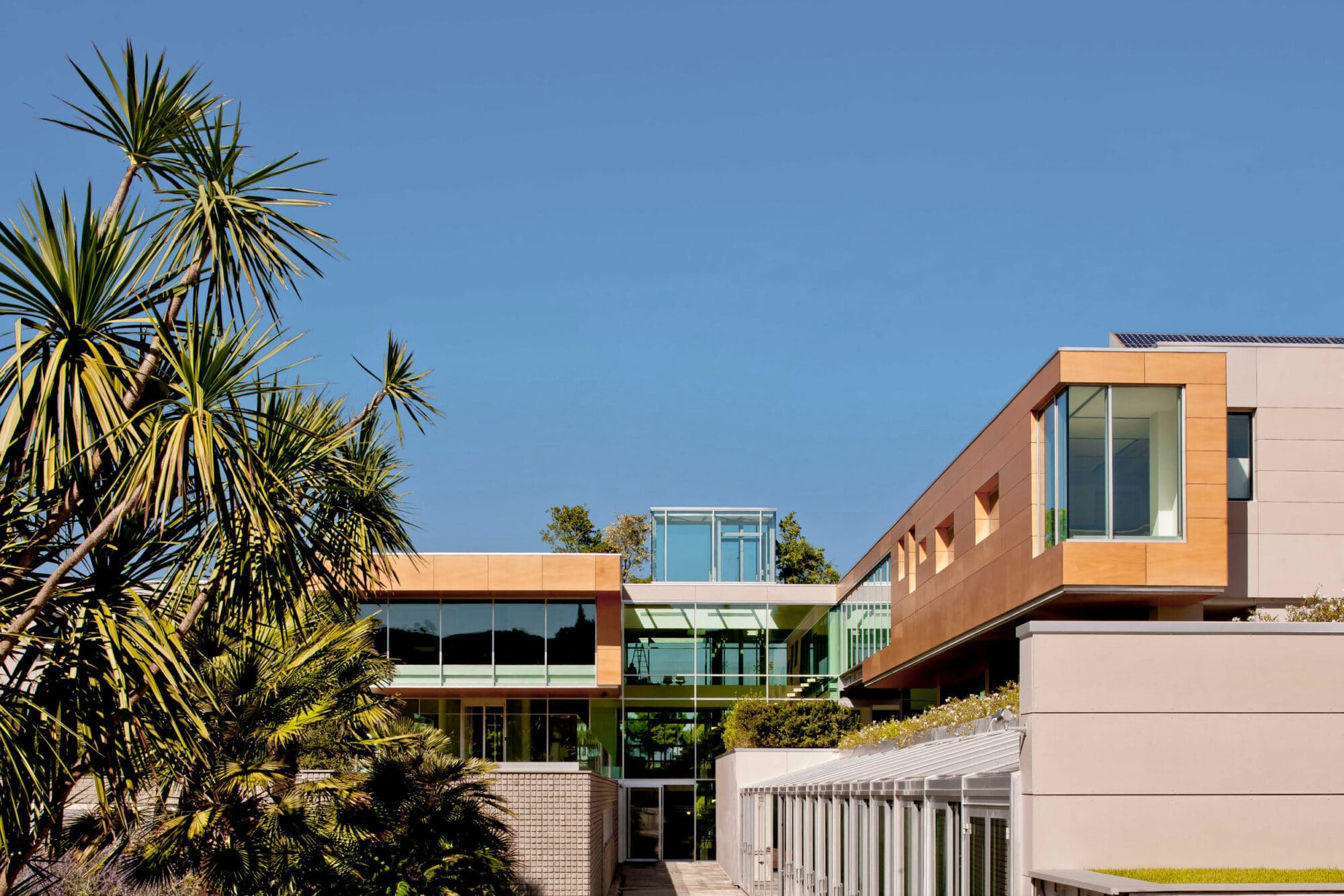 Rainbow Group Headquarters architectural project 02