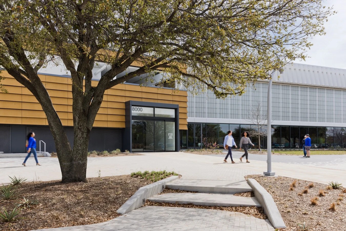 Frisco Public Library 06